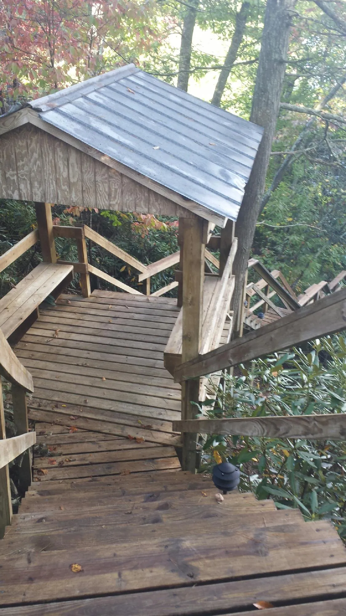 Metal roofed shelter over wooden steps on a wooded walkway — Skylight Repair & Installation work by our crew in Laura
